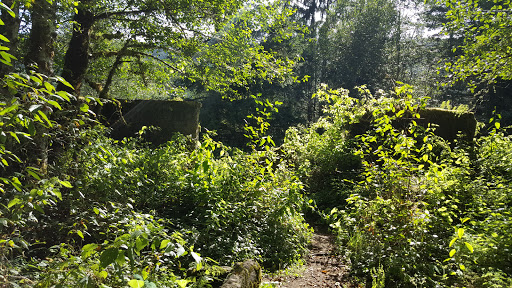 Tourist Attraction «Melmont ghost town», reviews and photos, Carbon River Rd, Carbonado, WA 98323, USA