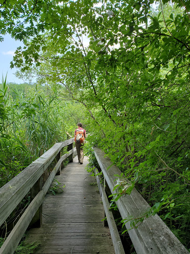 Nature Preserve «Cranberry Lake Preserve», reviews and photos, 1609 Old Orchard St, West Harrison, NY 10604, USA