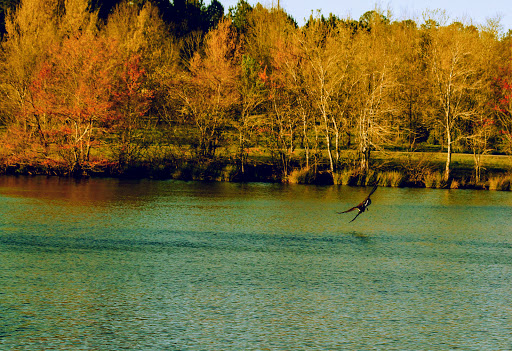 Park «Little Mulberry Park», reviews and photos, 3855 Hog Mountain Rd, Hoschton, GA 30548, USA