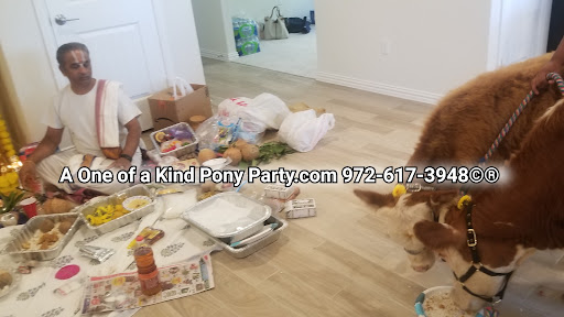 Zoo «A One of A Kind Pony Party», reviews and photos, 912 Bells Chapel Cir, Waxahachie, TX 75165, USA