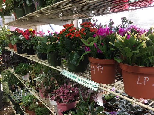 Hardware Store «McGuckin Hardware», reviews and photos, 2525 Arapahoe Ave, Boulder, CO 80302, USA