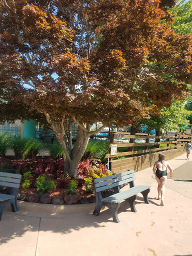 Water Park «White Water», reviews and photos, 3505 W 76 Country Blvd, Branson, MO 65616, USA