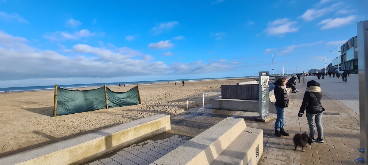 Face à la mer à Dunkerque