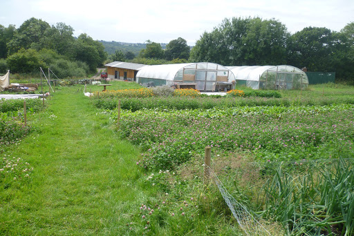 Sheffield Organic Growers