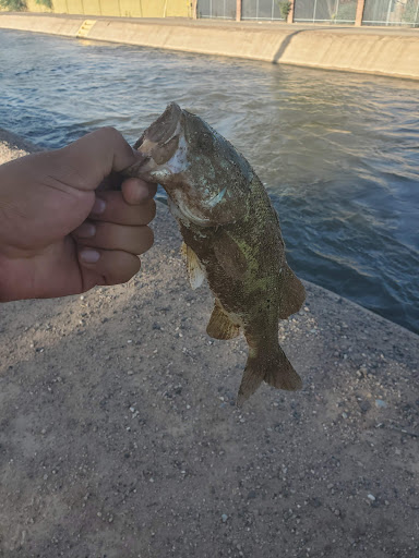 Auto Repair Shop «Good Works Auto Repair, LLC», reviews and photos, 2348 E Broadway Rd, Tempe, AZ 85282, USA