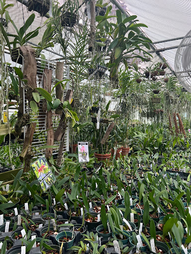 Florist «Little Brook Orchids», reviews and photos, 25 Rider Ave, Lancaster, PA 17603, USA