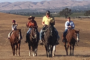 Paso Robles Pastures image