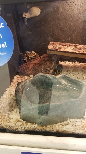 Pet Supply Store «PetSmart», reviews and photos, 6535 Frontier Dr, Springfield, VA 22150, USA