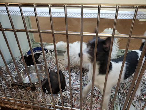 Pet Store «Back To Nature Pets & Grooming», reviews and photos, 110 N Dupont Hwy, New Castle, DE 19720, USA