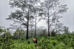 ลานกางเต็นท์ดอยหลวงตาก image