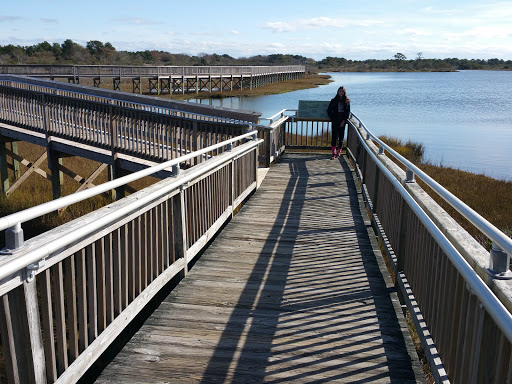 National Park «Assateague Island National Seashore», reviews and photos, 7206 National Seashore Ln, Berlin, MD 21811, USA
