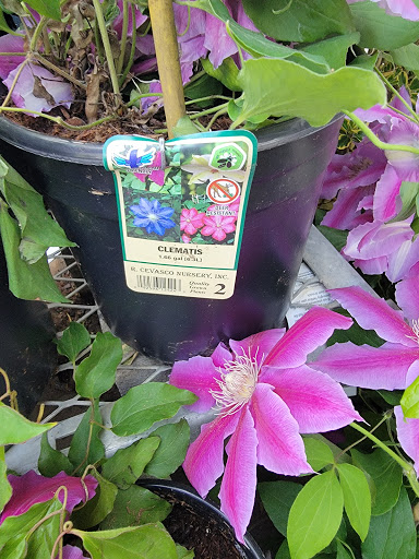 Home Improvement Store «The Home Depot», reviews and photos, 8850 San Ysidro Ave, Gilroy, CA 95020, USA