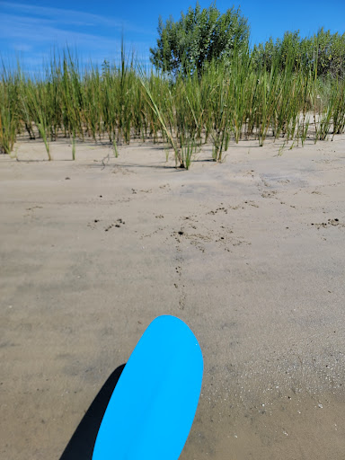 Water Sports Equipment Rental Service «Tula Adventure Sports Stand up Paddleboard & Wakeboard», reviews and photos, 2100 Marina Shores Dr #3, Virginia Beach, VA 23451, USA