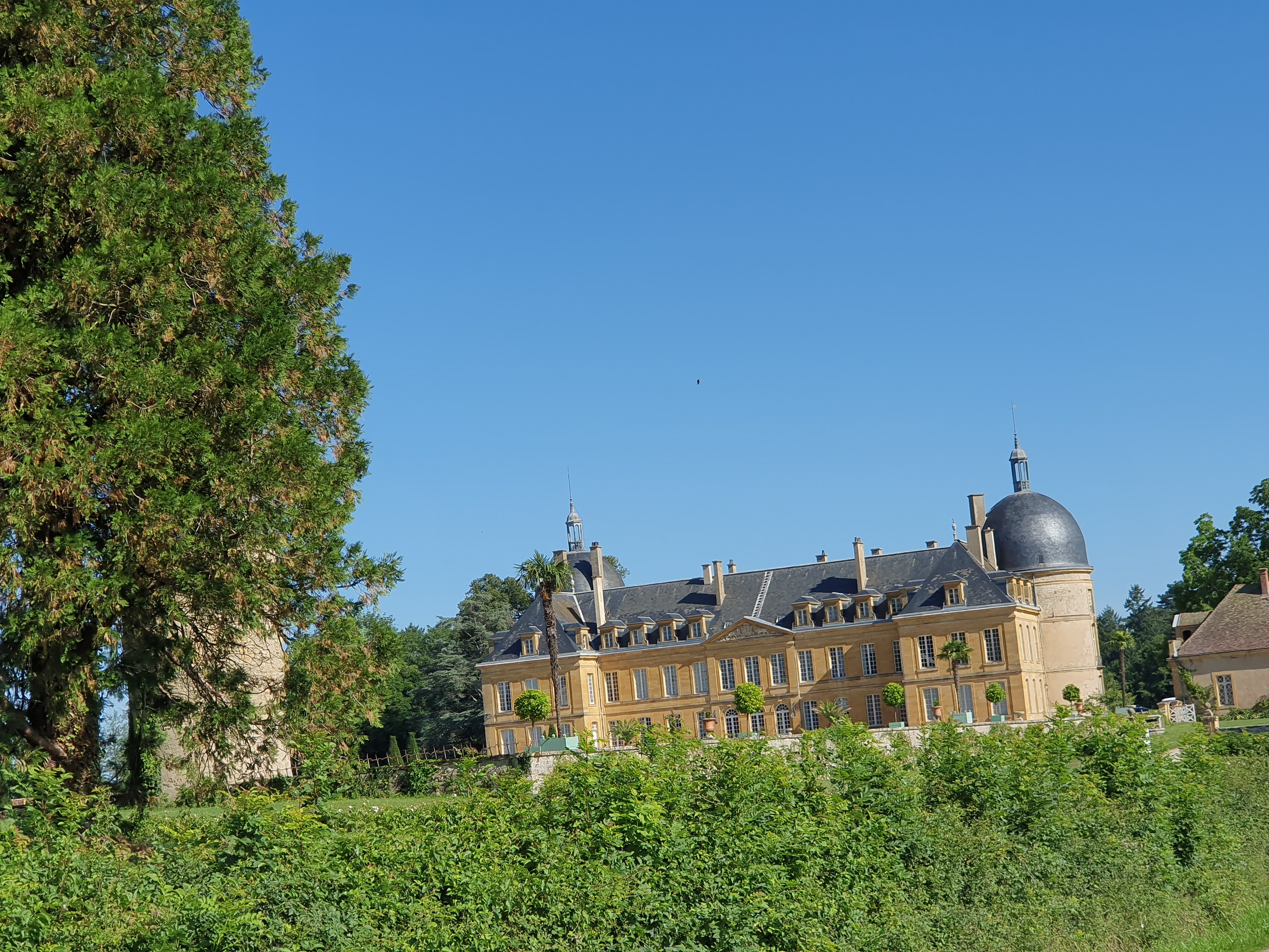 Photo n° 4 de l'avis de Robert.o fait le 13/07/2022 à 15:11