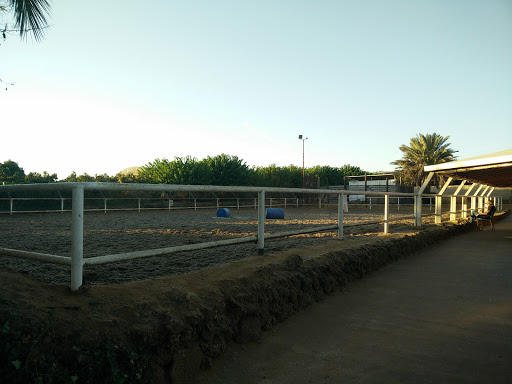 Beit Hanan riding center