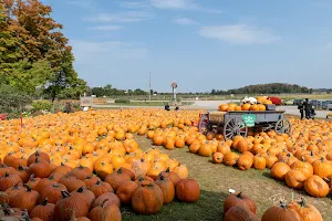 Downey's Farm Market image