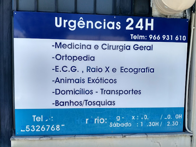 Avaliações doClínica Veterinária Bracara Augusta em Braga - Veterinário