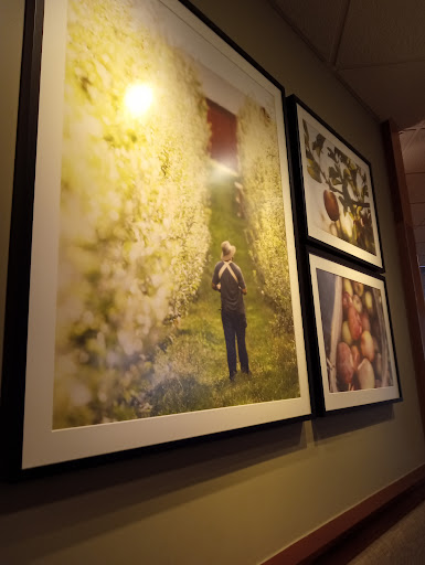 Panera Bread image