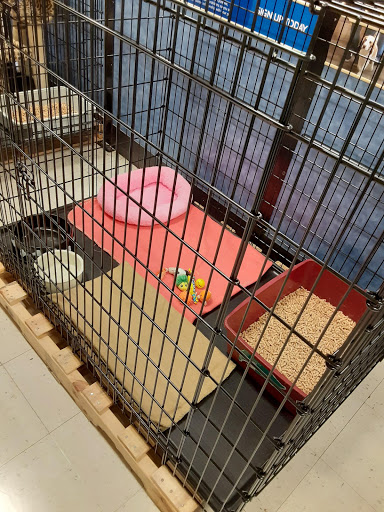 Pet Supply Store «PetSmart», reviews and photos, 3450 N Morrison Rd, Muncie, IN 47304, USA