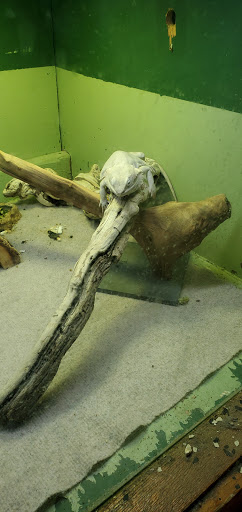 Pet Store «Forest Lake Pets», reviews and photos, 120 Lake St N, Forest Lake, MN 55025, USA