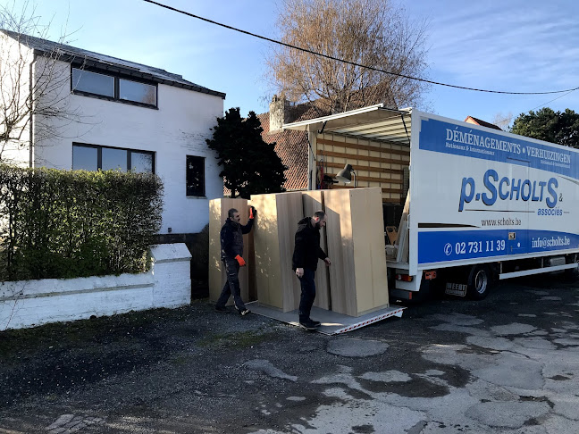 Comentarii opinii despre Scholts P. & Associes SRL