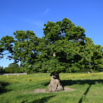 Photo n° 1 de l'avis de Julien.L fait le 27/05/2020 à 05:02 pour Ancienne église Saint-Aubin à Juaye-Mondaye