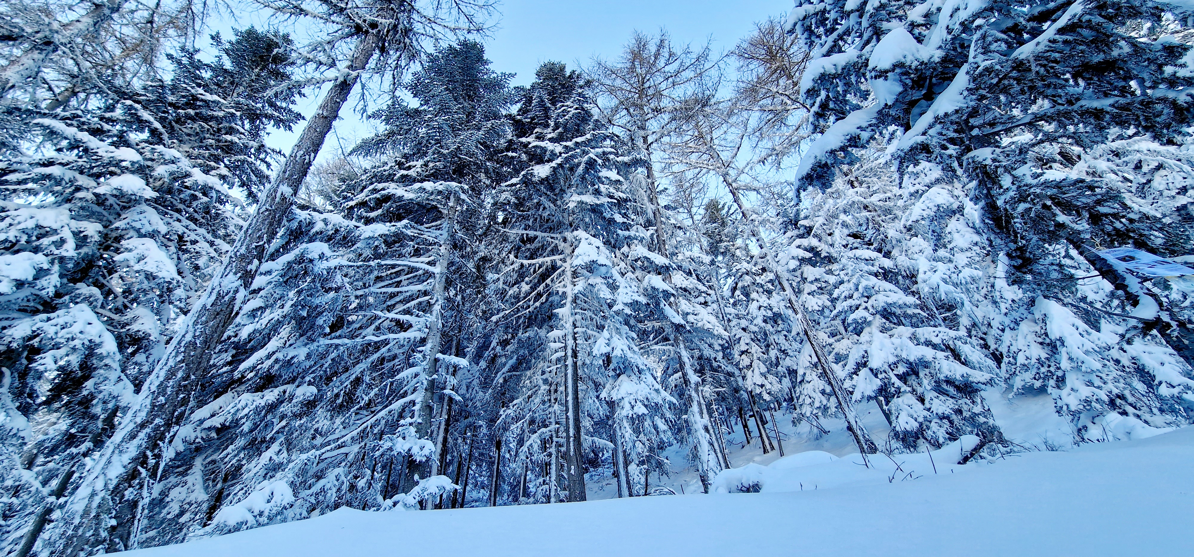 Photo n° 5 de l'avis de véronique.o fait le 12/01/2023 à 07:17