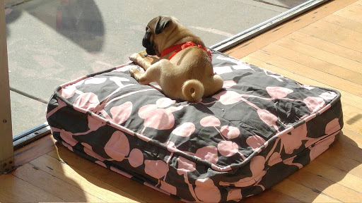 Gift Shop «Chet Miller», reviews and photos, 118 W Parrish St, Durham, NC 27701, USA