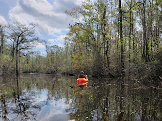 Waccamaw National Wildlife Refuge