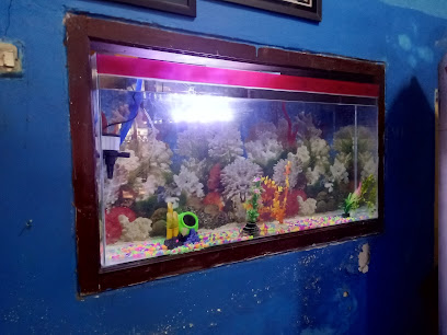 Planet aquarium