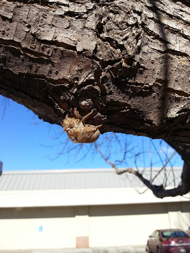 Pet Supply Store «Petco Animal Supplies», reviews and photos, 3115 Iowa St, Lawrence, KS 66046, USA