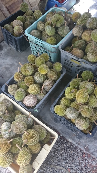 D'durian Abg Bakar