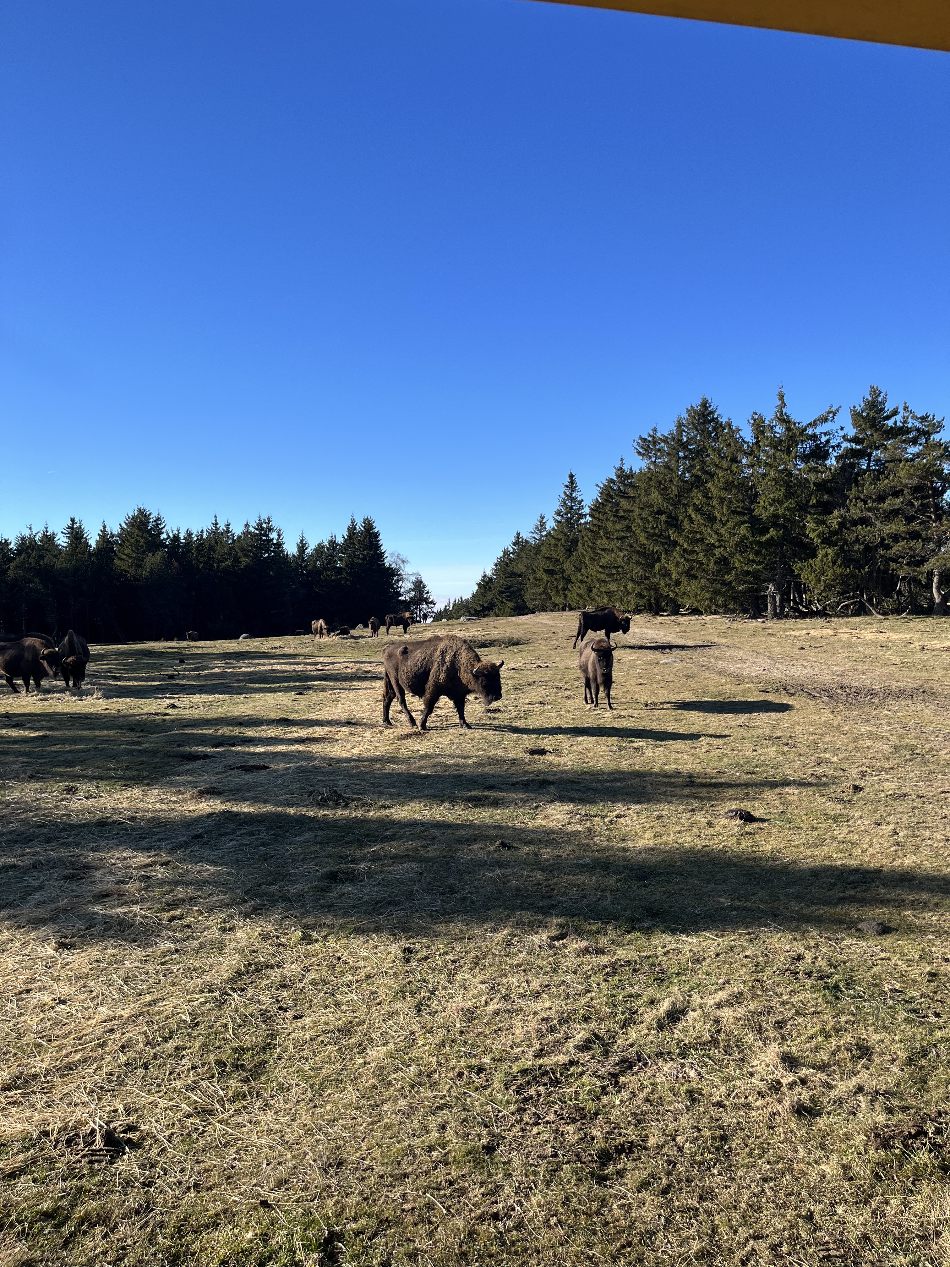 Photo n° 6 de l'avis de kerl.o fait le 06/01/2023 à 20:29