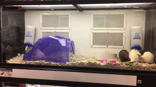 Pet Supply Store «Petco Animal Supplies», reviews and photos, 308 E Meighan Blvd, Gadsden, AL 35903, USA