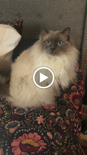 Hotel «DoubleTree by Hilton Hotel Boston - Bedford Glen», reviews and photos, 44 Middlesex Turnpike, Bedford, MA 01730, USA