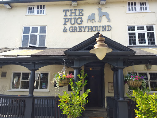 The Pug & Greyhound