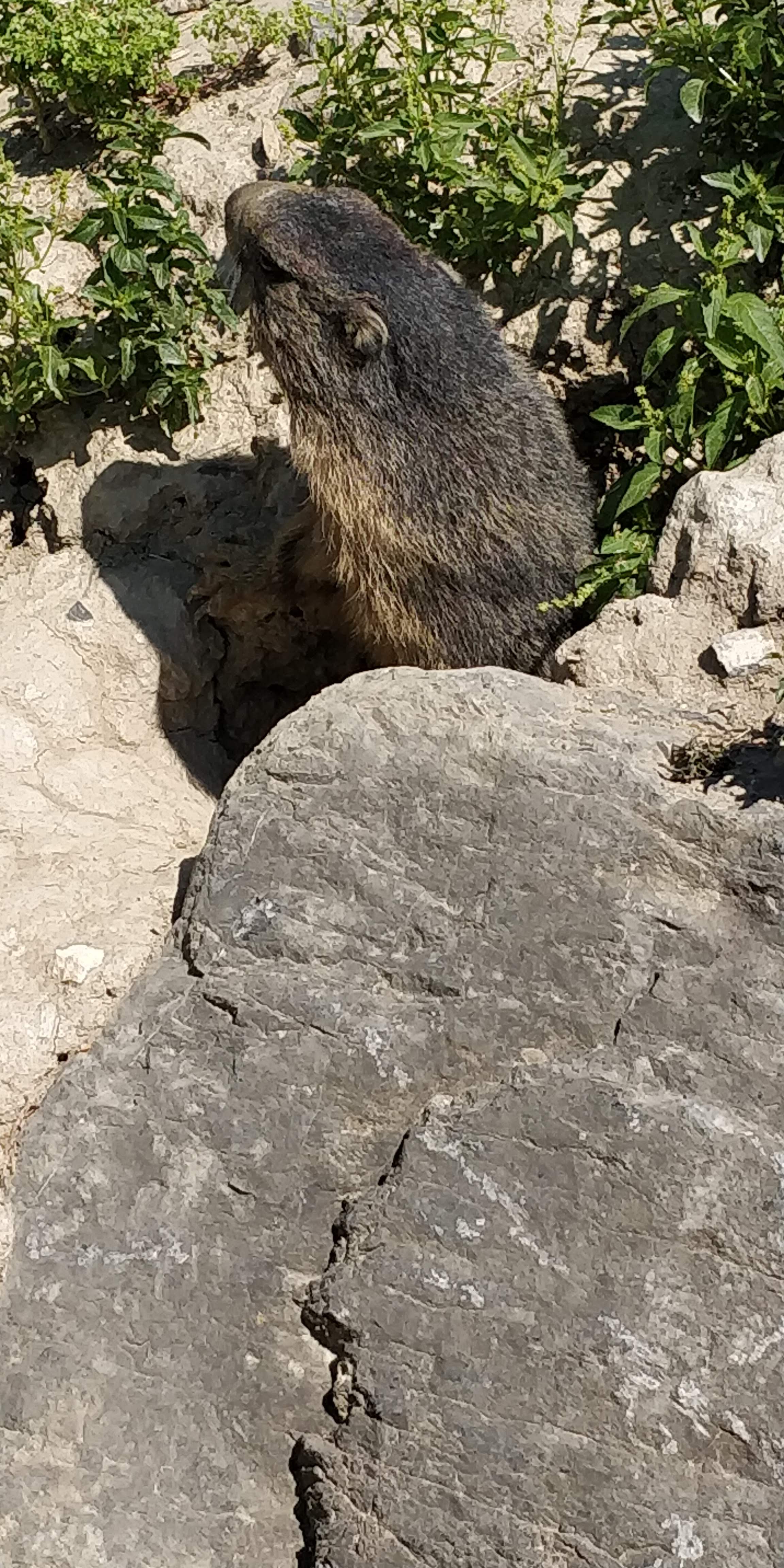 Photo n° 15 de l'avis de Sylvain.e fait le 02/08/2018 à 06:25