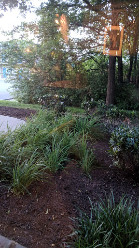 American Restaurant «Cracker Barrel Old Country Store», reviews and photos, 2115 S Church St, Murfreesboro, TN 37130, USA