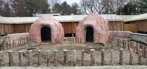 Zoo «Stone Zoo», reviews and photos, 149 Pond St, Stoneham, MA 02180, USA