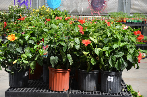 Hardware Store «Sutherlands Lumber #1220», reviews and photos, 6709 Blue Ridge Blvd, Raytown, MO 64133, USA