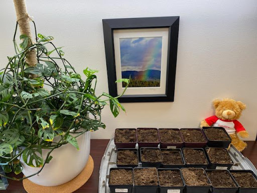 Auto Insurance Agency «State Farm: Brian Finanu200e», reviews and photos