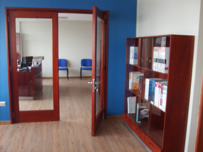 Los Floristas 0448, 4780000 Temuco, Araucanía