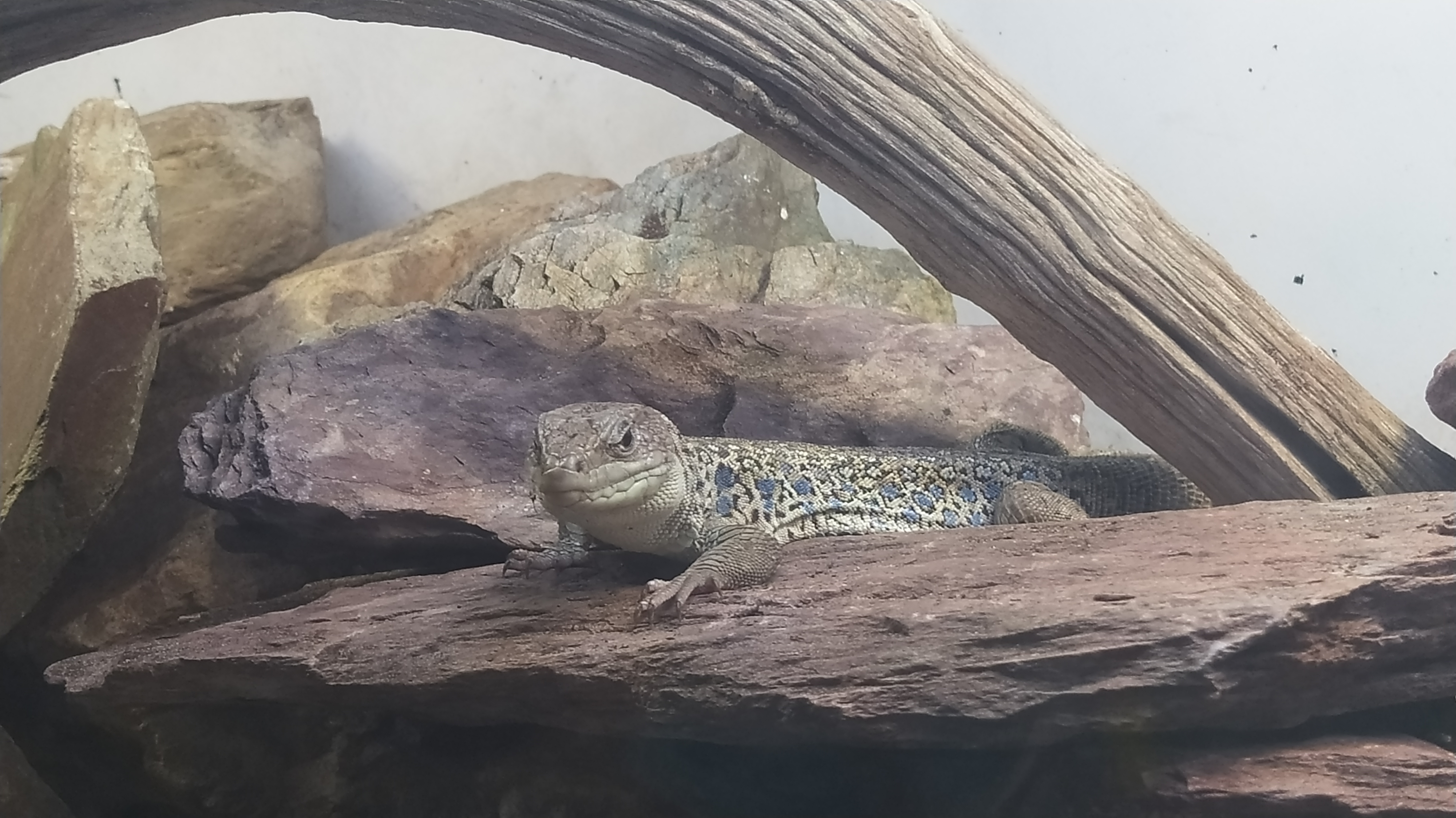 Photo n° 4 de l'avis de Flappy.l fait le 12/08/2022 à 21:43