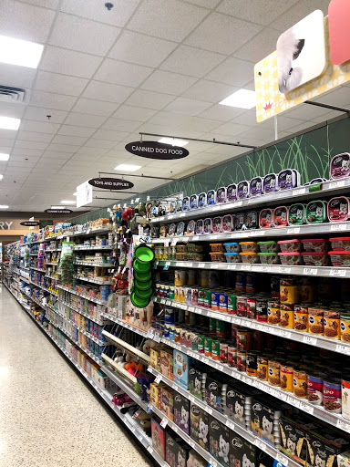 Supermarket «Publix Super Market at University of Palms Shopping Center», reviews and photos, 4250 Alafaya Trail Ste 148, Oviedo, FL 32765, USA