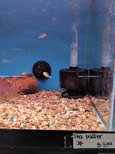 Pet Store «World of Wet Pets», reviews and photos, 8542 SW Apple Way, Portland, OR 97225, USA