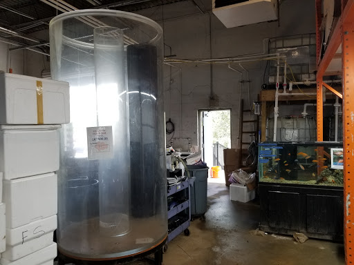 Tropical Fish Store «The Fish Store», reviews and photos, 2050 Chamblee Tucker Rd, Chamblee, GA 30341, USA