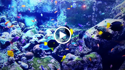 Furniture Store «Sleep-Cheap Furniture Stores», reviews and photos, 6030 Bergenline Ave, West New York, NJ 07093, USA