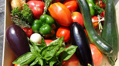 Légumes du jardin à La Résie-Saint-Martin