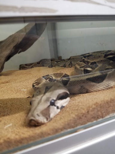 Pet Store «El Granero Pet Shop», reviews and photos, 15700 Atlantic Ave, Compton, CA 90221, USA