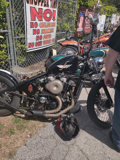 Explore hyena tattoo ideas, creative tattoo ideas in Ormond Beach, available at Tropical Tattoo Inc